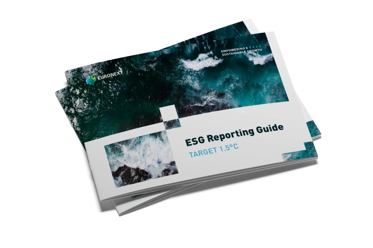 ESG Guide.png