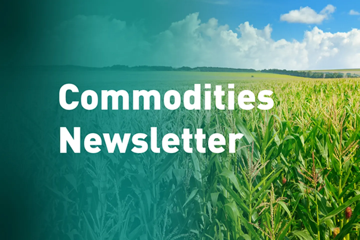 enx_commodities-newsletter_insights-thumbnails_corn_030523.jpg