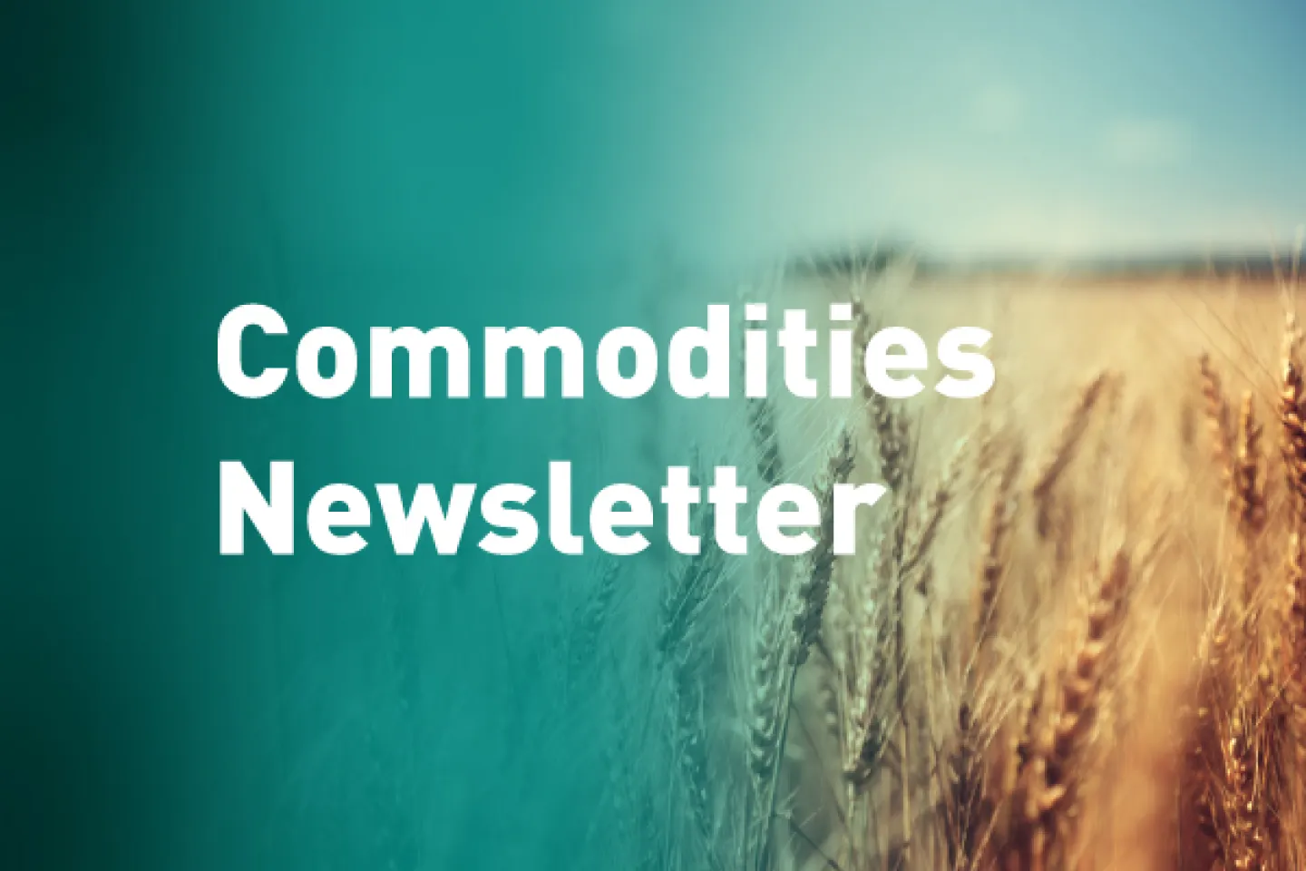 enx_commodities-newsletter_insights-thumbnail-101123_1.jpg
